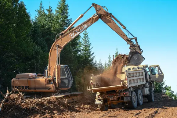 Wombet Kasino Podpora